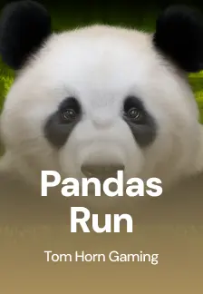 Panda's Run